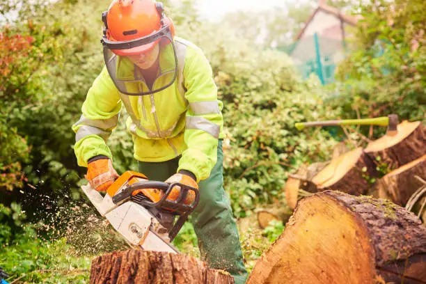 Arborist cutting a log with a chainsaw